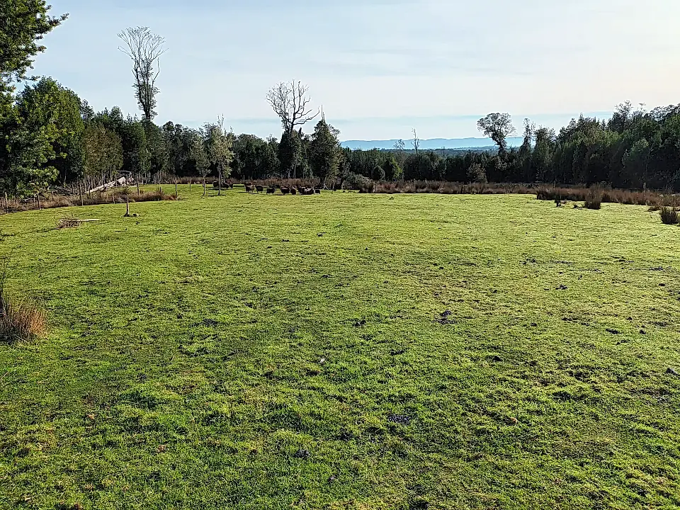 Farm for Sale in Chiloe, Los Lagos, Chile