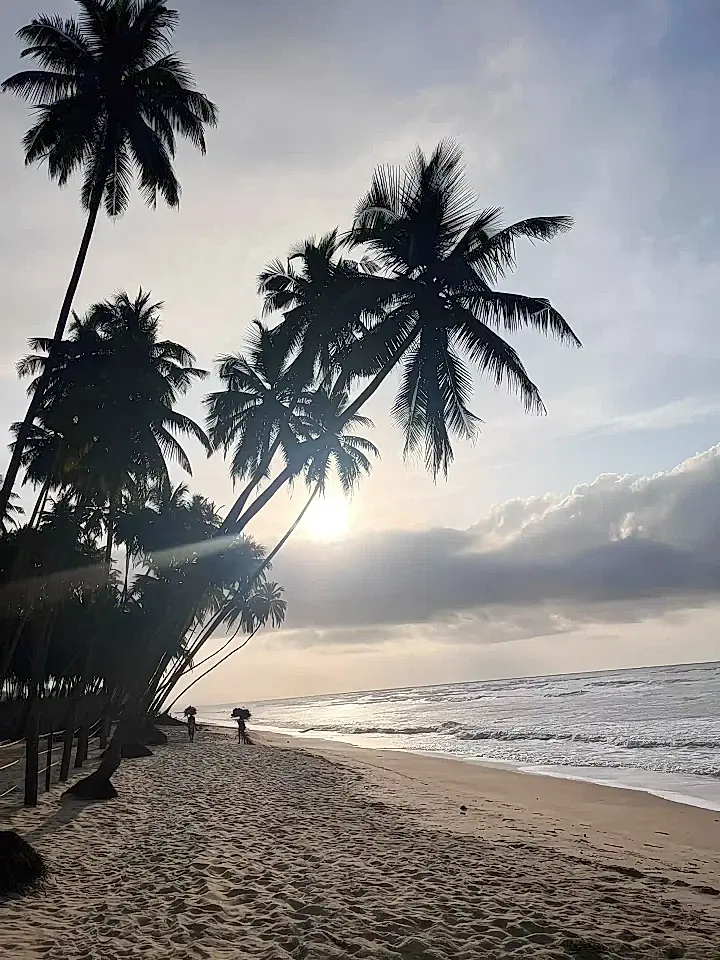 Luxury Beach Resort for Sale in Ellembelle, Western Region, Ghana