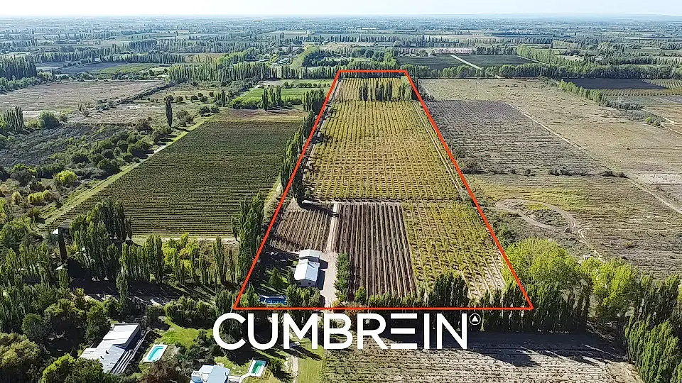 Agricultural Estate for Sale in San Rafael, Mendoza Province, Argentina