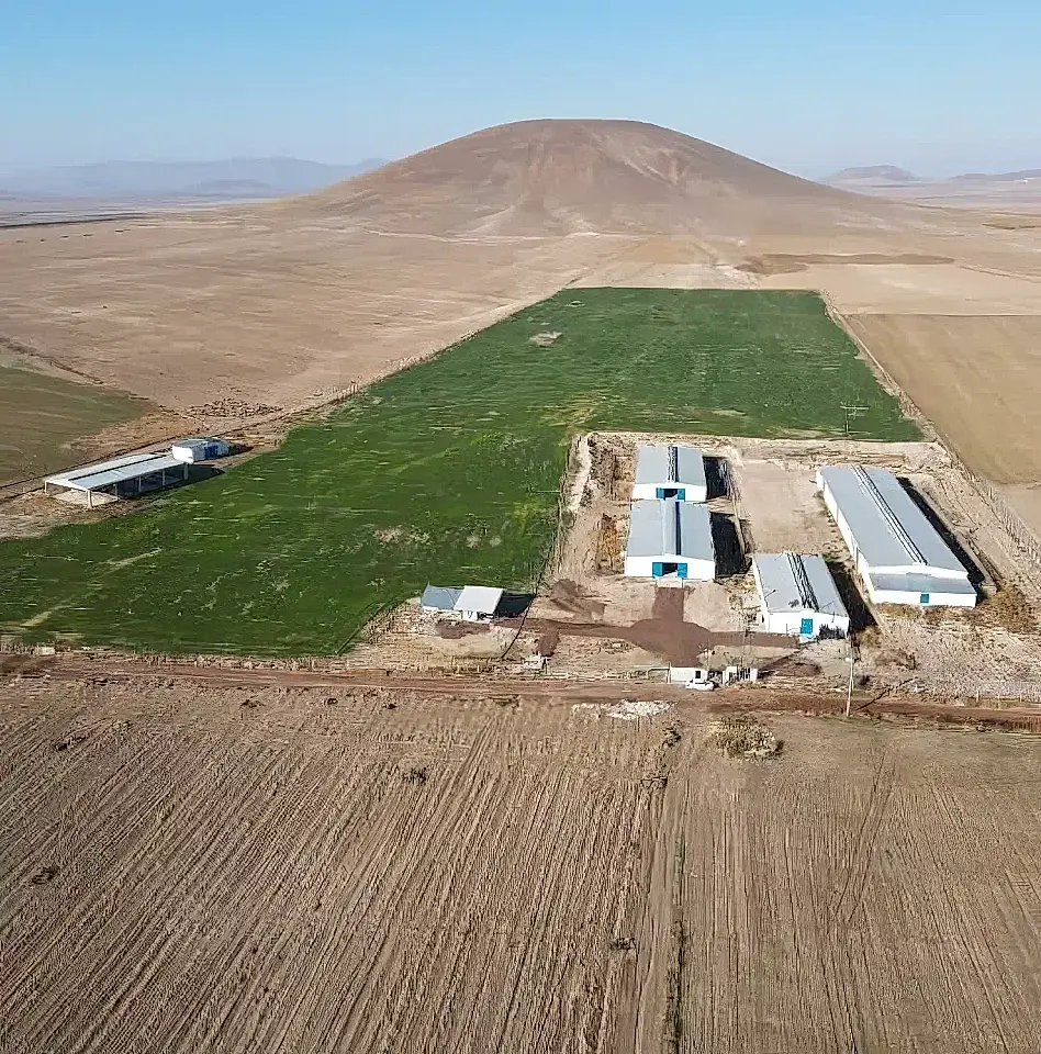 Productive Farm for Sale in Eregli, Konya, Turkey