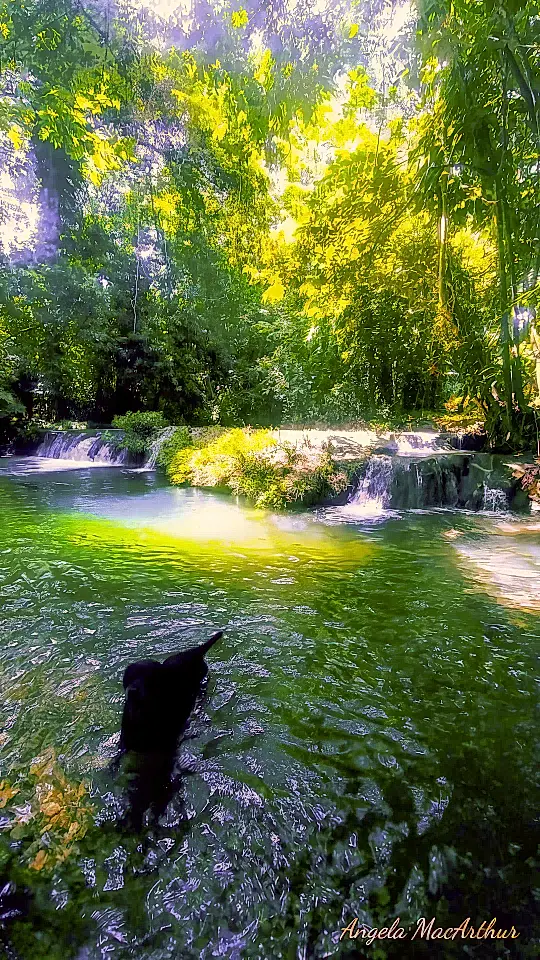 Jungle Home for Sale in Toledo, Belize