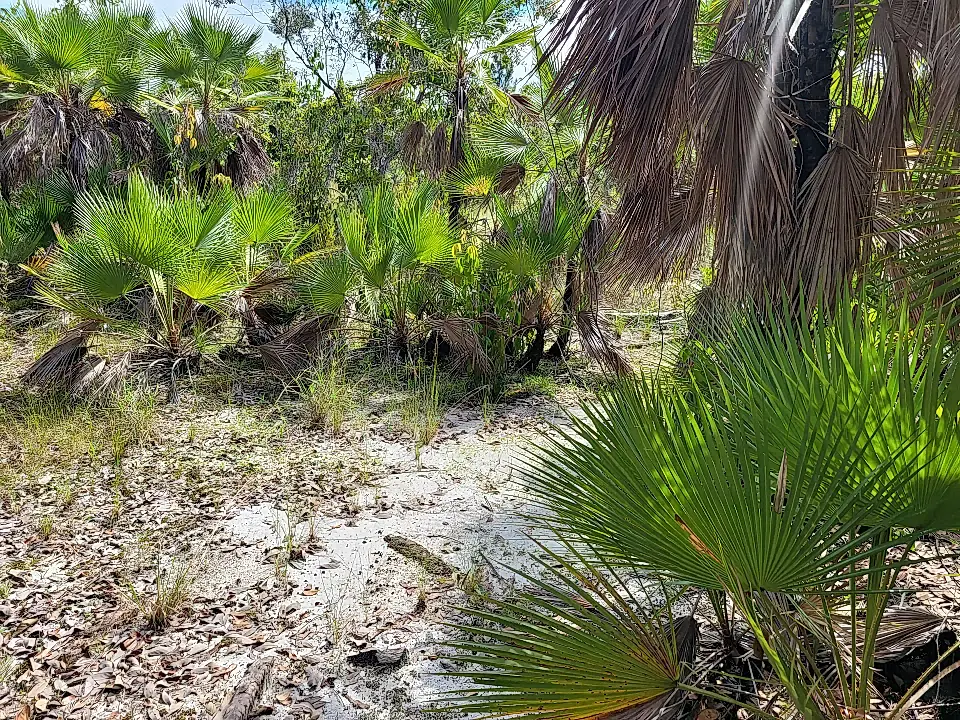 Vacant Land for Sale in Mango Creek, Stann Creek, Belize