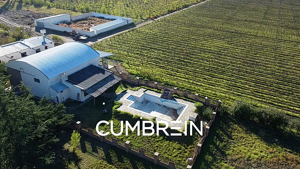 Winery for Sale in San Rafael, Mendoza Province, Argentina