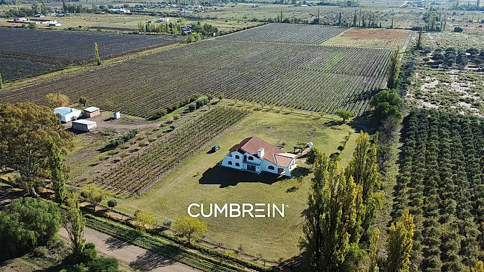 Boutique Vineyard for Sale in San Rafael, Mendoza Province, Argentina