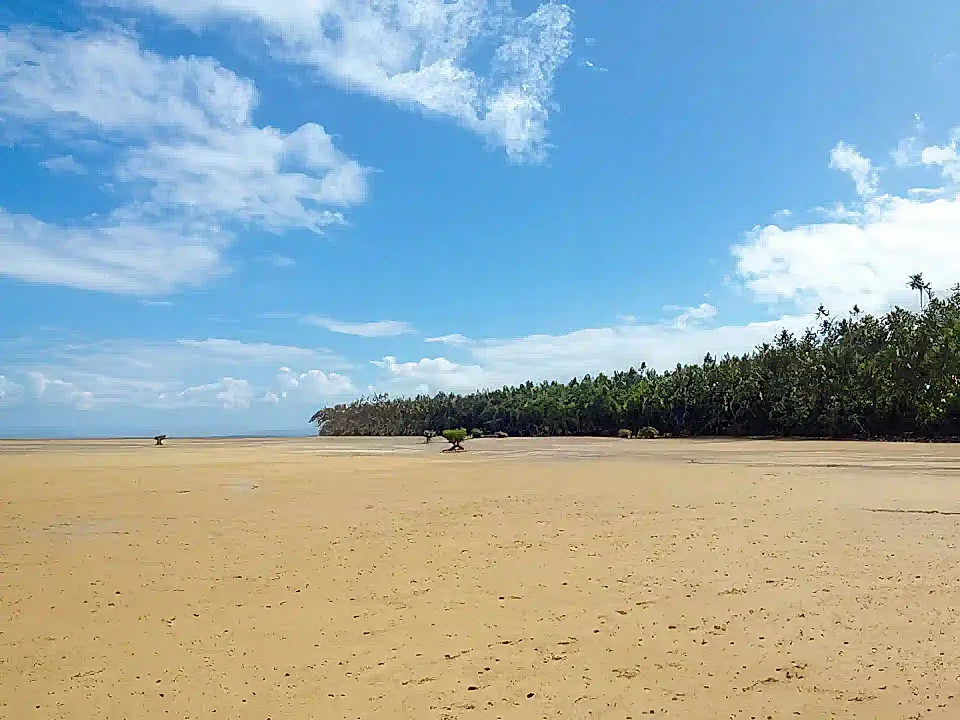 52 Acres for Sale in Cakaudrove, Northern Division, Fiji