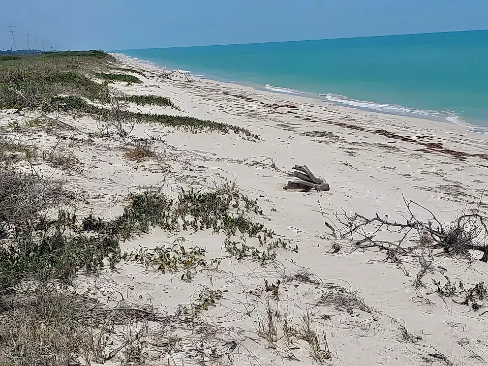 Oceanfront Property for Sale in Carmen, Campeche, Mexico