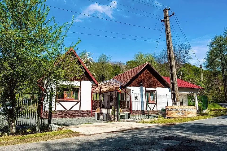 Cottages for Sale in Savarsin, Arad, Romania