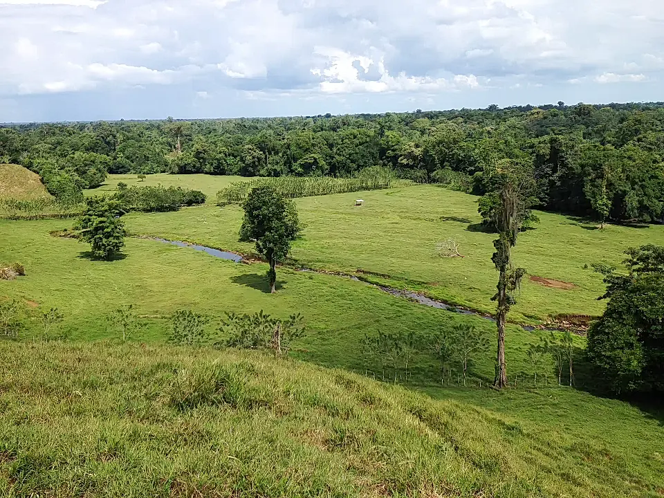 Investment Farm for Sale in Sarapiqui, Heredia, Costa Rica