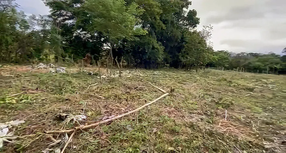 Land for Sale in David, Chiriqui, Panama