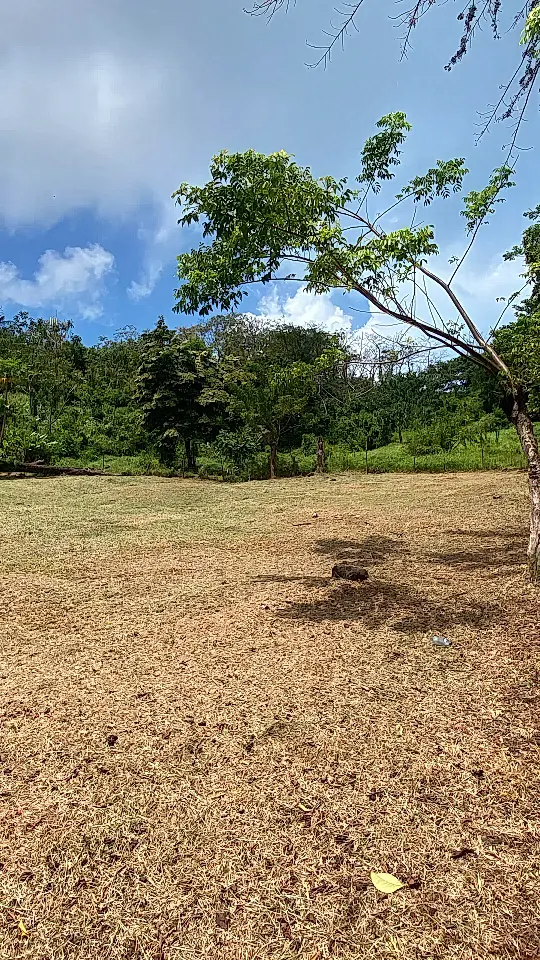 Ocean View Lot for Sale in Corn Islands, South Caribbean Coast Autonomous Region, Nicaragua