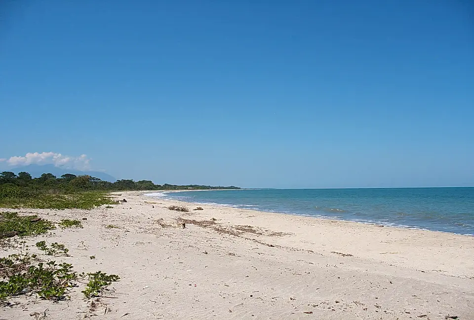 Beach Lots for Sale in Balfate, Colon, Honduras