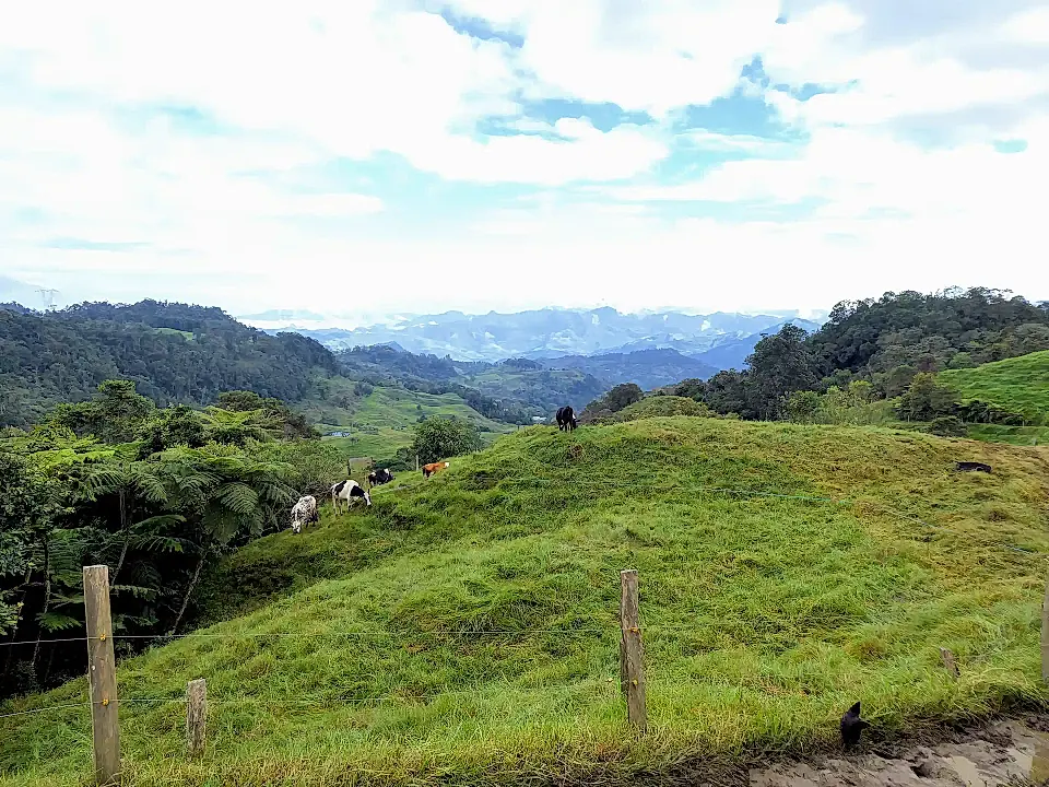 Cloud-Forest Cattle Ranch for Sale in San Francisco, Cundinamarca, Colombia